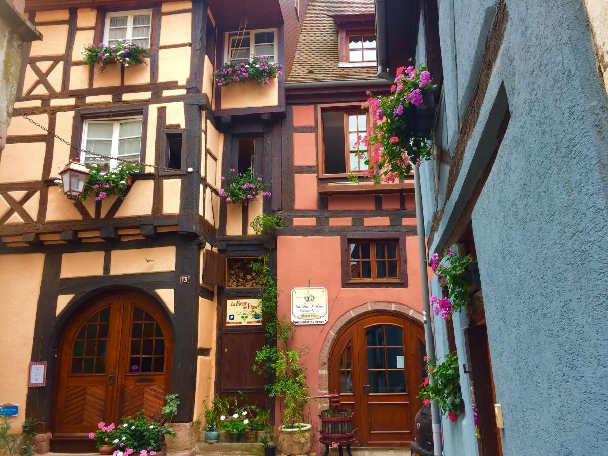 Apartment Apartment in Riquewihr near Vineyards - Outdoor photo 4