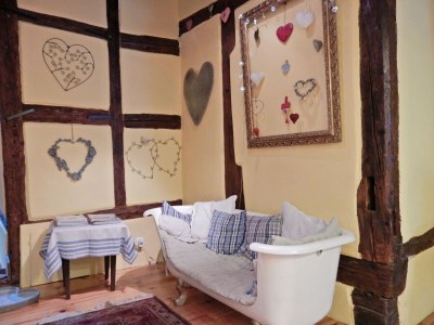 Apartment Apartment in Riquewihr near Vineyards - Features photo 17