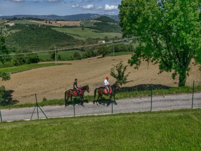 Villa Umbrian Escape to Villa - Environment photo 37