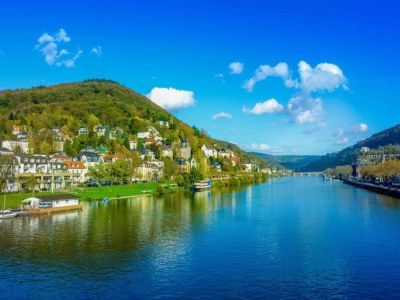 Holiday house Holiday Home Near the Rhine River - Environment photo 34