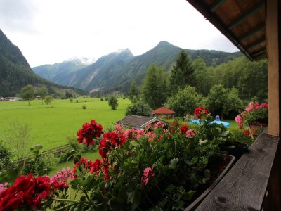 Apartment Apartment Neukirchen near Ski Slopes - Outdoor photo 13