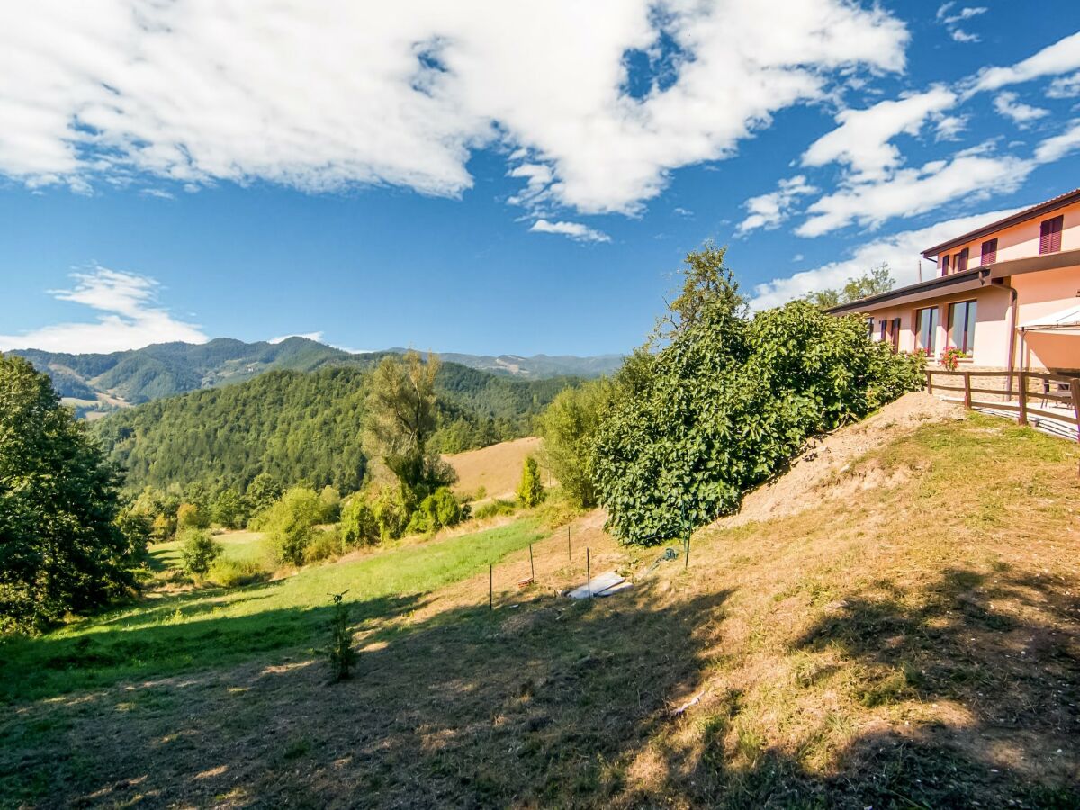 Farmhouse Farmhouse in Apecchio with Pool - Outdoor photo 5