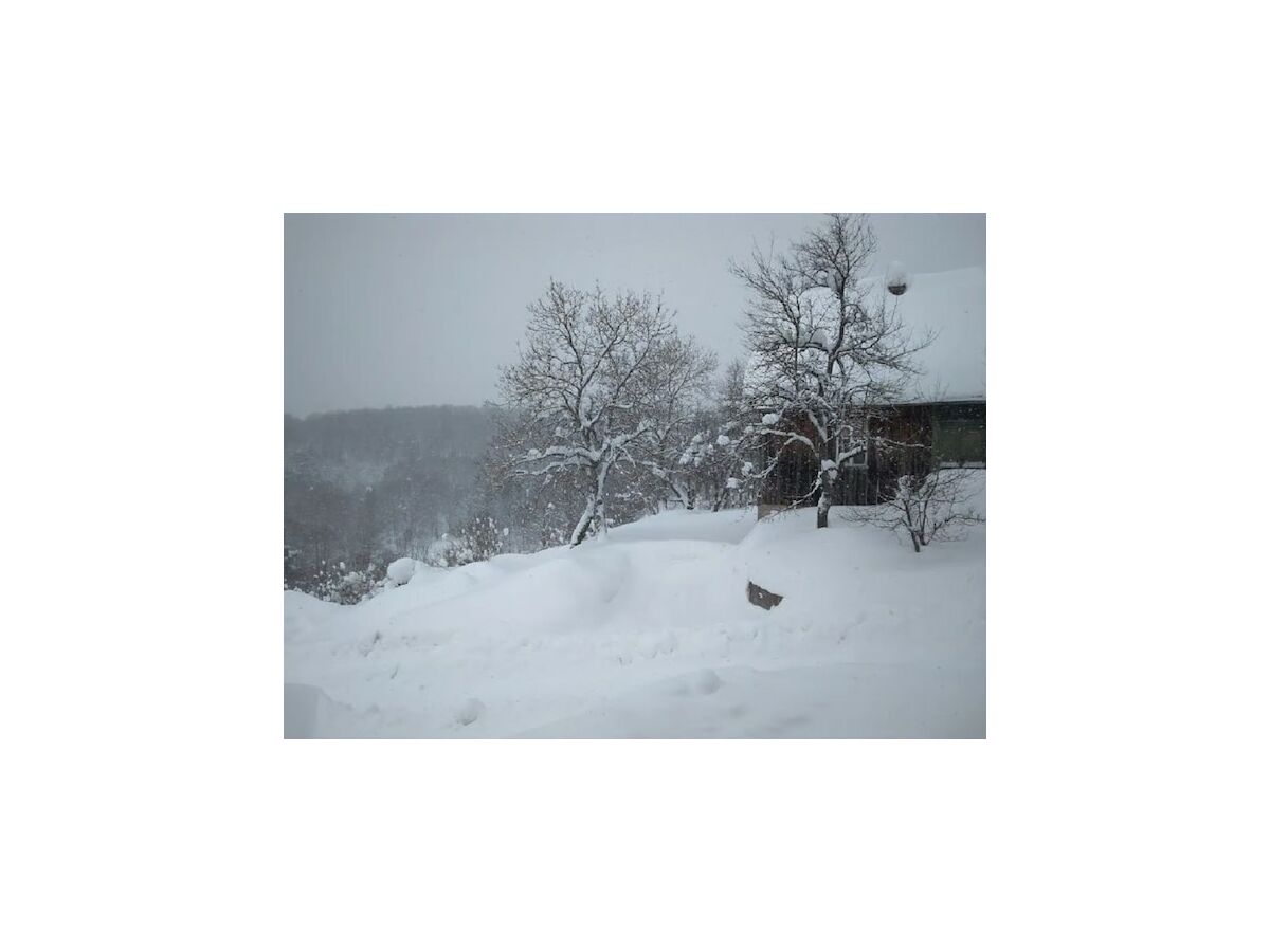 Holiday house Ferienhaus in Bunjevci mit Sauna und Garten - Outdoor photo 2