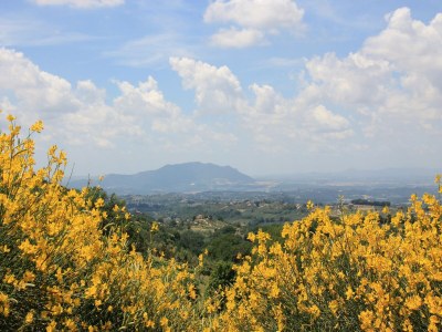 Farmhouse Farmhouse in Casperia with Pool & Scenic Views - Environment photo 37