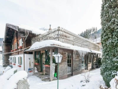 Holiday house Farmhouse Bramberg near Wildkogelbahn - Outdoor photo 2