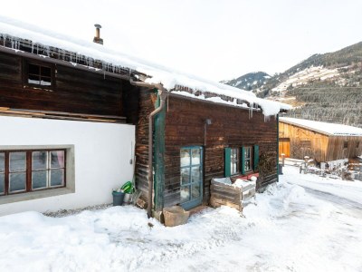 Holiday house Farmhouse Bramberg near Wildkogelbahn - Outdoor photo 9