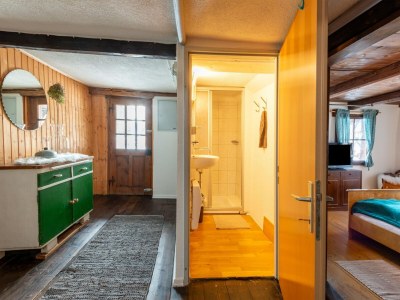 Holiday house Farmhouse Bramberg near Wildkogelbahn - Features photo 19