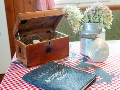 Holiday house Farmhouse Bramberg near Wildkogelbahn - Outdoor photo 37