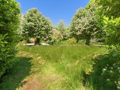 Cottage Stylish Mansion in Savignac - Outdoor photo 6