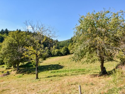 Holiday house Calvinet Landurlaub - Outdoor photo 7