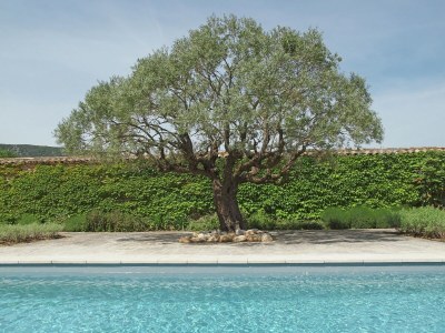Villa Oppède Villa mit privatem Pool - Outdoor photo 12