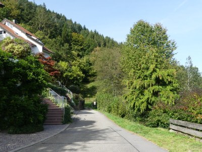 Holiday apartment A Sonnenhalde - Environment photo 37
