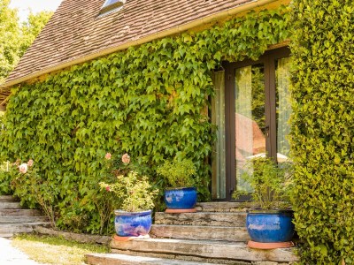 Holiday house Holiday Home in Dordogne with Pool - Outdoor photo 6