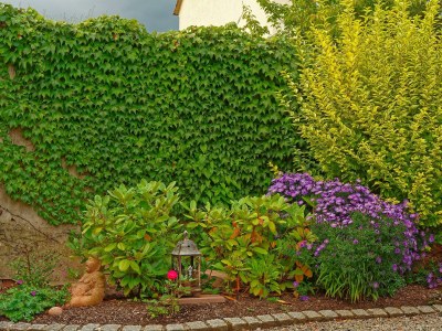 Apartment Wohnung Pfalz, WC/Dusch, 2 Schlafzimmer, Wohnküche - Outdoor photo 9