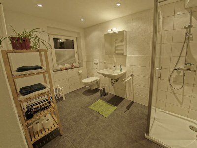 Apartment Wohnung Pfalz, WC/Dusch, 2 Schlafzimmer, Wohnküche - Outdoor photo 16