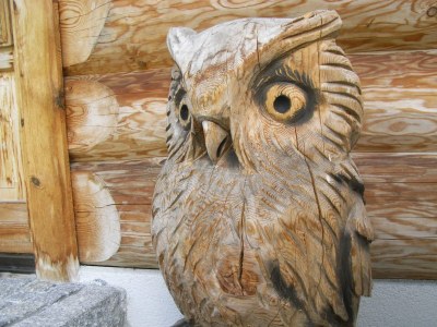 Holiday house Alpenchalet - Environment photo 20