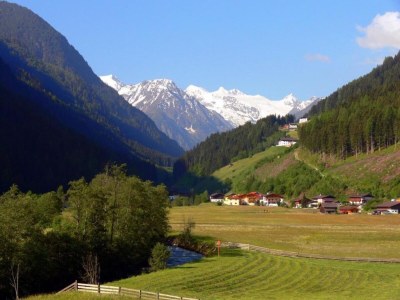Holiday house Apartment in Ramsau near Ski Slopes - Environment photo 30