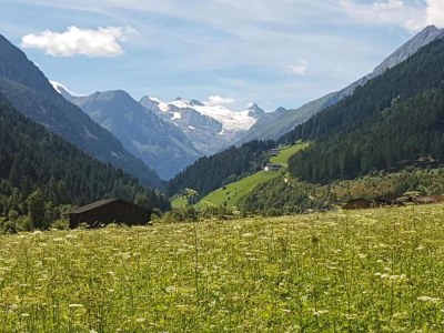 Holiday house Apartment in Ramsau near Ski Slopes - Environment photo 43
