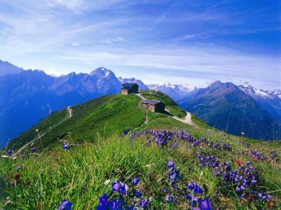 Holiday house Apartment in Ramsau near Ski Slopes - Environment photo 47