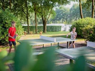 Holiday park Tiny House in Brabant with Cozy Terrace - Outdoor photo 34