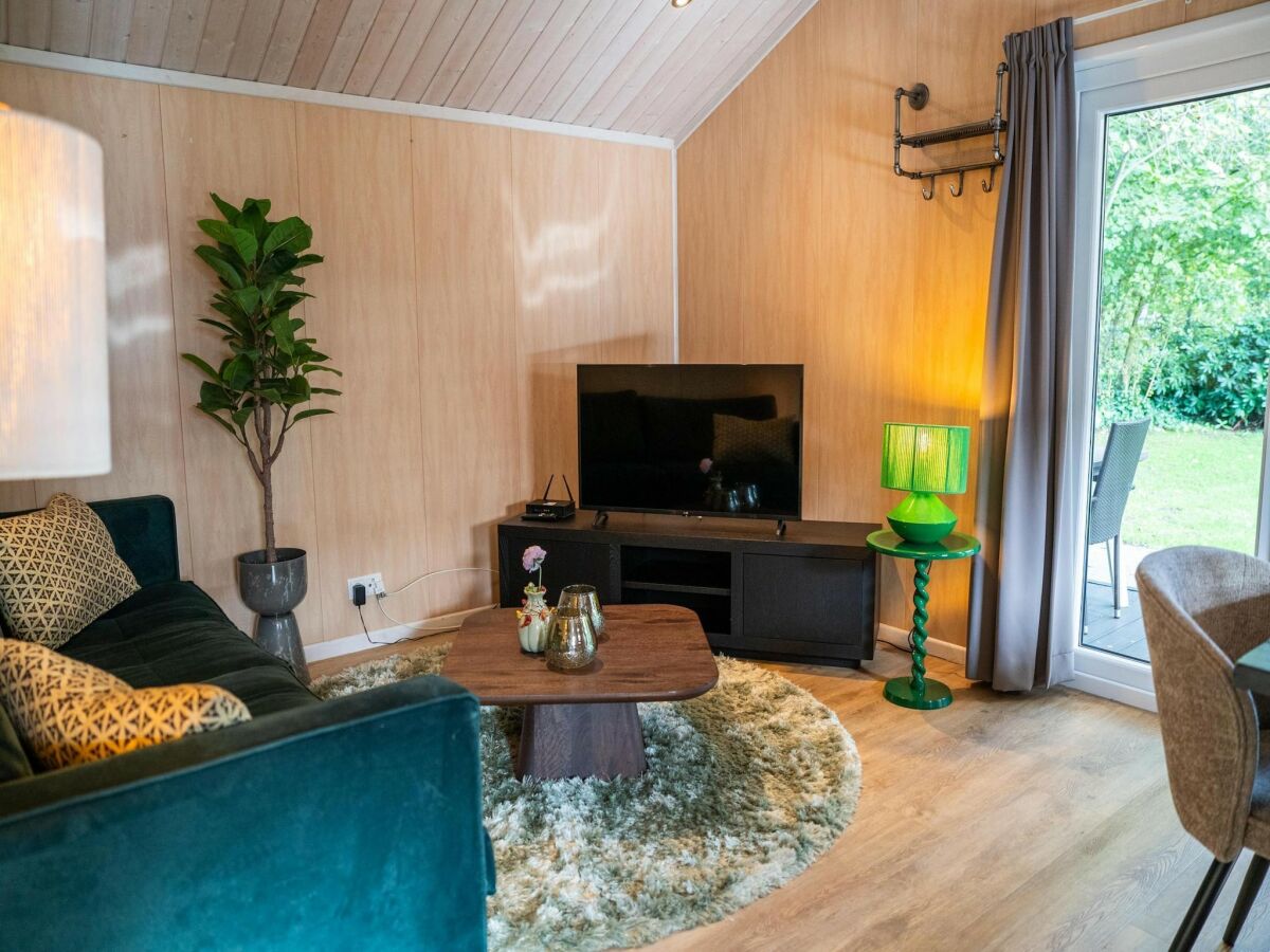 Holiday park Lodge in Brabant mit überdachter Terrasse - Features photo 5