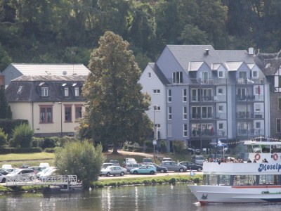 Holiday apartment "Mosel Direkt" - Outdoor photo 6