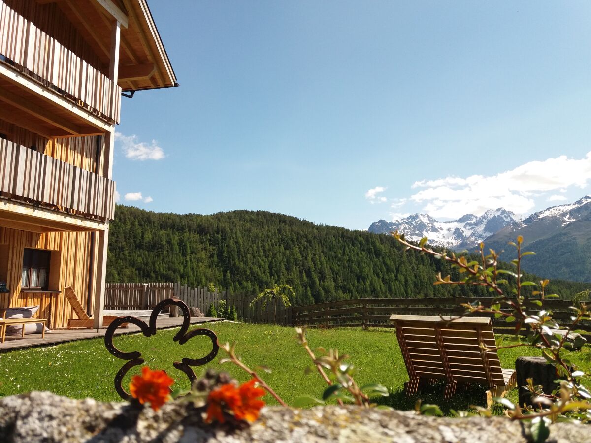 Holiday apartment Apartment Savannah in the organic & equistrian farm the Veitenhof - Outdoor photo 4