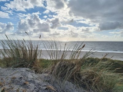 Holiday house 8 person holiday home in Blåvand-By Traum - Outdoor photo 41