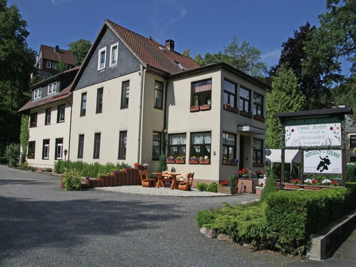 Apartment Charmantes Dachgeschoss-Refugium, Harz - Outdoor photo 3