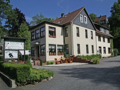 Apartment Charmantes Dachgeschoss-Refugium, Harz - Outdoor photo 2
