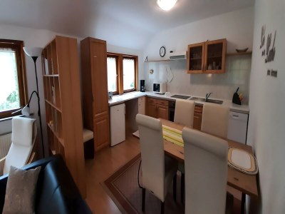 Apartment Charmantes Dachgeschoss-Refugium, Harz - Features photo 25