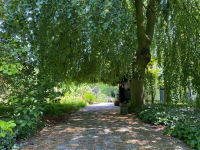 Holiday house Village House in Leende near Star Restaurant - Outdoor photo 10