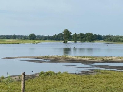 Holiday house Village House in Leende near Star Restaurant - Environment photo 35