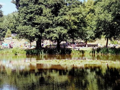 Holiday house Charmantes Ferienhaus mit Naturgarten - Environment photo 31