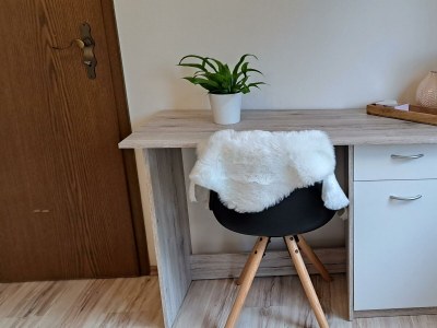 Apartment Neue Allergiker-Ferienwohnung mit Terrasse im WW - Features photo 53