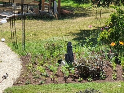 Apartment Appartement/Fewo (40qm) mit Gartenblick - Outdoor photo 16
