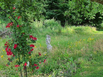 Apartment Appartement/Fewo (40qm) mit Gartenblick - Outdoor photo 23