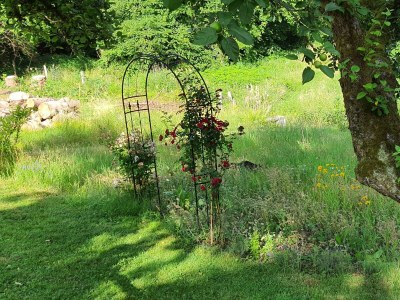 Apartment Appartement/Fewo (40qm) mit Gartenblick - Outdoor photo 26