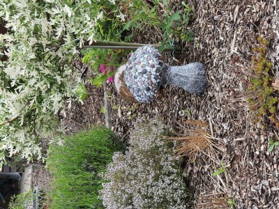 Apartment Appartement/Fewo (40qm) mit Gartenblick - Outdoor photo 29
