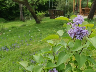 Apartment Appartement/Fewo (40qm) mit Gartenblick - Outdoor photo 38