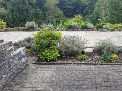 Apartment Appartement/Fewo (40qm) mit Gartenblick - Features photo 49