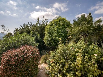 Villa Villa near Montgó with Pool and Beach - Outdoor photo 4