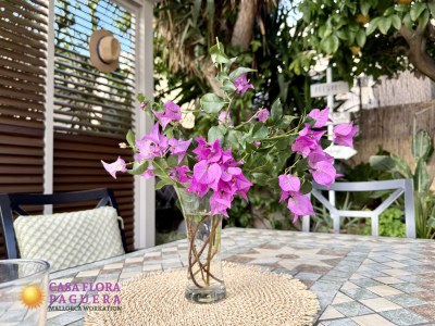 Villa Casa Flora Paguera - Environment photo 25