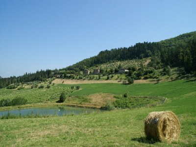 Farmhouse Farmhouse in Dicomano with Tuscan Views - Environment photo 17