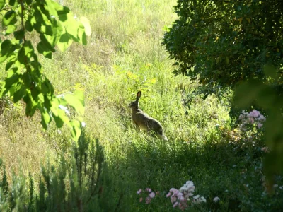 Farmhouse Farmhouse in Dicomano with Tuscan Views - Outdoor photo 19