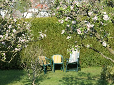 Apartment Wohnung mit großem Garten an der Ostseeküste - Outdoor photo 9