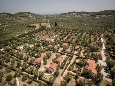 Holiday park Farmhouse in Vieste near Gargano Park - Outdoor photo 13