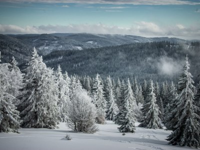 Holiday apartment Neukirch Southern Black Forest - Environment photo 24