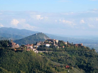 Apartment Luxury Retreat in Montevettolini - Environment photo 34