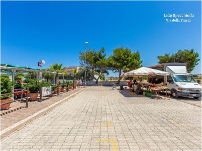Holiday house Villa Nettuno - Environment photo 31